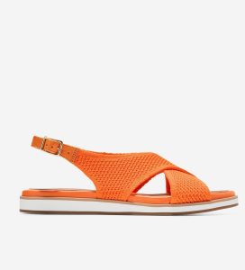 Multicolor Cole Haan Mikaela Women's Sandals | QWDP-18256